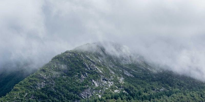 君泰鼎视角下的资产配置之道：科学资产管理如何重塑投资理财未来