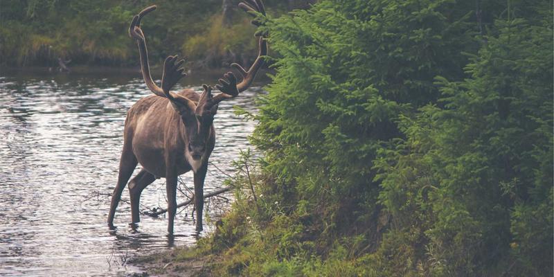 君泰鼎资产配置指南：掌握72法则，实现财富稳健增值