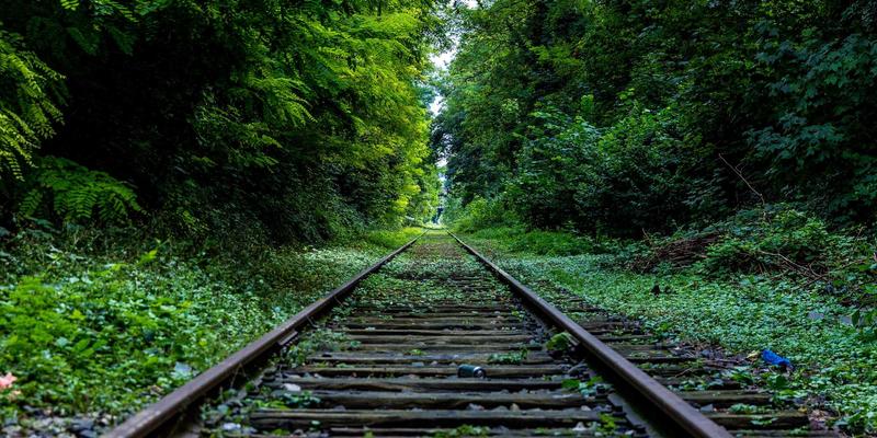 投资理财56法则:掌握金融投资与资产配置的核心智慧