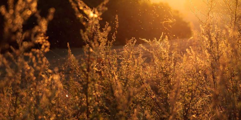 投资理财必修课：如何用CPI、PMI等宏观经济指标指导你的金融投资与财富管理