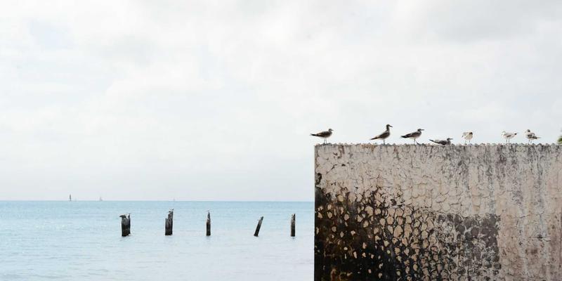 投资理财新蓝海：资产管理视角下新兴市场的机遇与风险挖掘