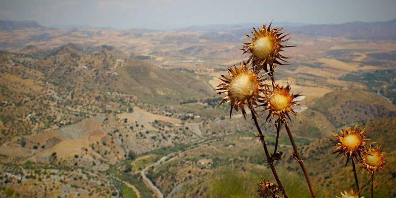 投资理财新视角：解析君泰鼎模式下的金融投资策略与风险平衡