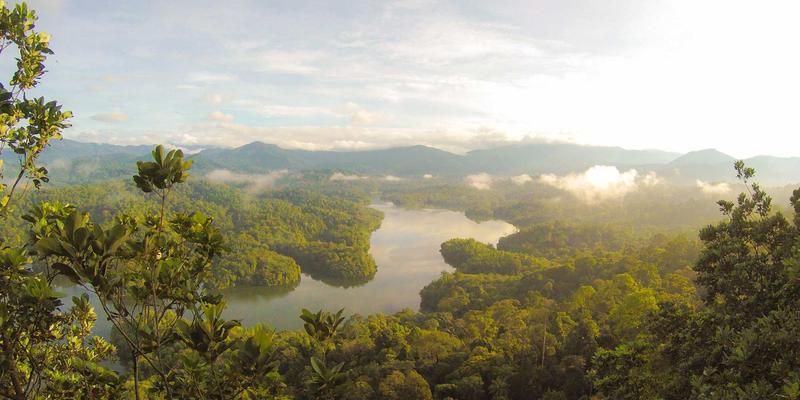 美元周期下的全球资产配置：君泰鼎财富管理解析汇率波动中的机遇与风险