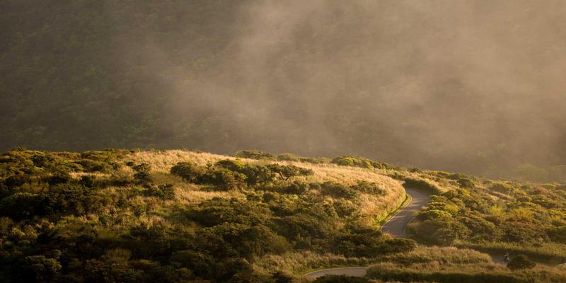 行为金融学实战指南：识别并克服投资中的认知偏差与情绪陷阱