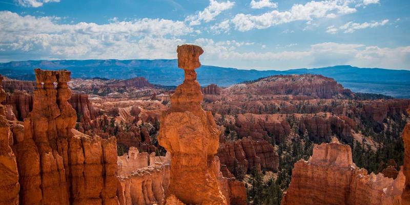 行为金融学视角下的资产配置：识别并克服投资心理陷阱，优化资产管理策略 | 君泰鼎