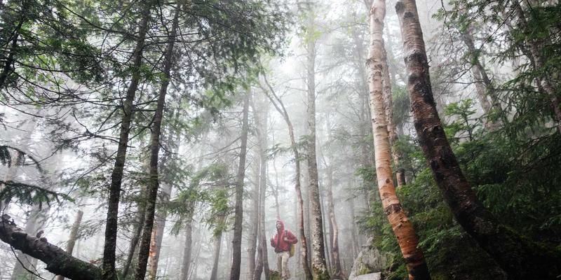 财富管理的核心密码：如何利用复利效应实现金融投资的长期增值