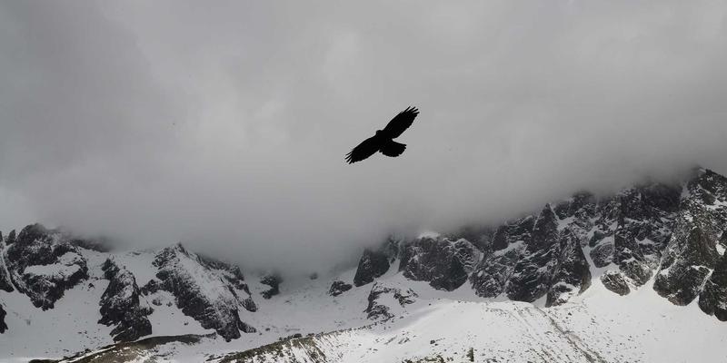 资产管理新维度：数字货币时代如何优化资产配置与金融投资策略