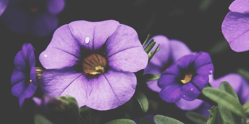 资产配置：投资理财中实现财富稳健增长的基石