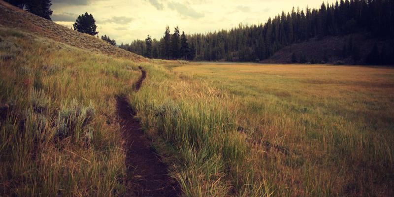 金融投资新视野:君泰鼎视角下的科学资产配置策略